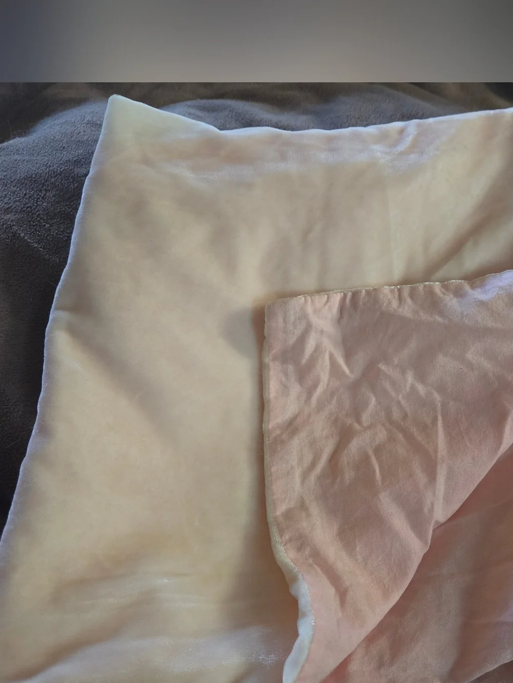West Elm Lush Velvet Blush Pink Pillowcase 26 x 26